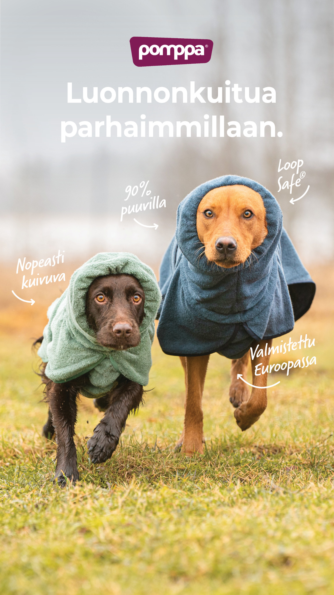 Pomppa Dogwear Facebook ad
