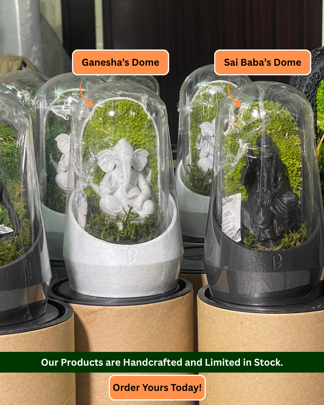 Perfect Plants Facebook ad