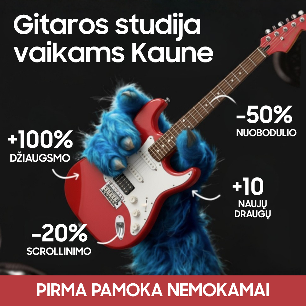 A24.LT - Gitaros pamokų studija Facebook ad