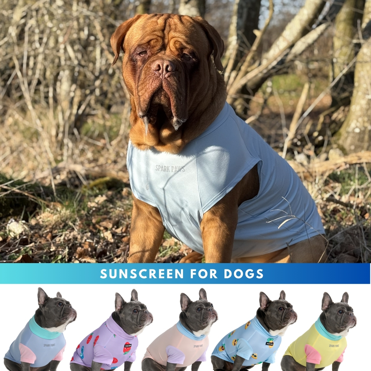 Spark Paws Facebook ad
