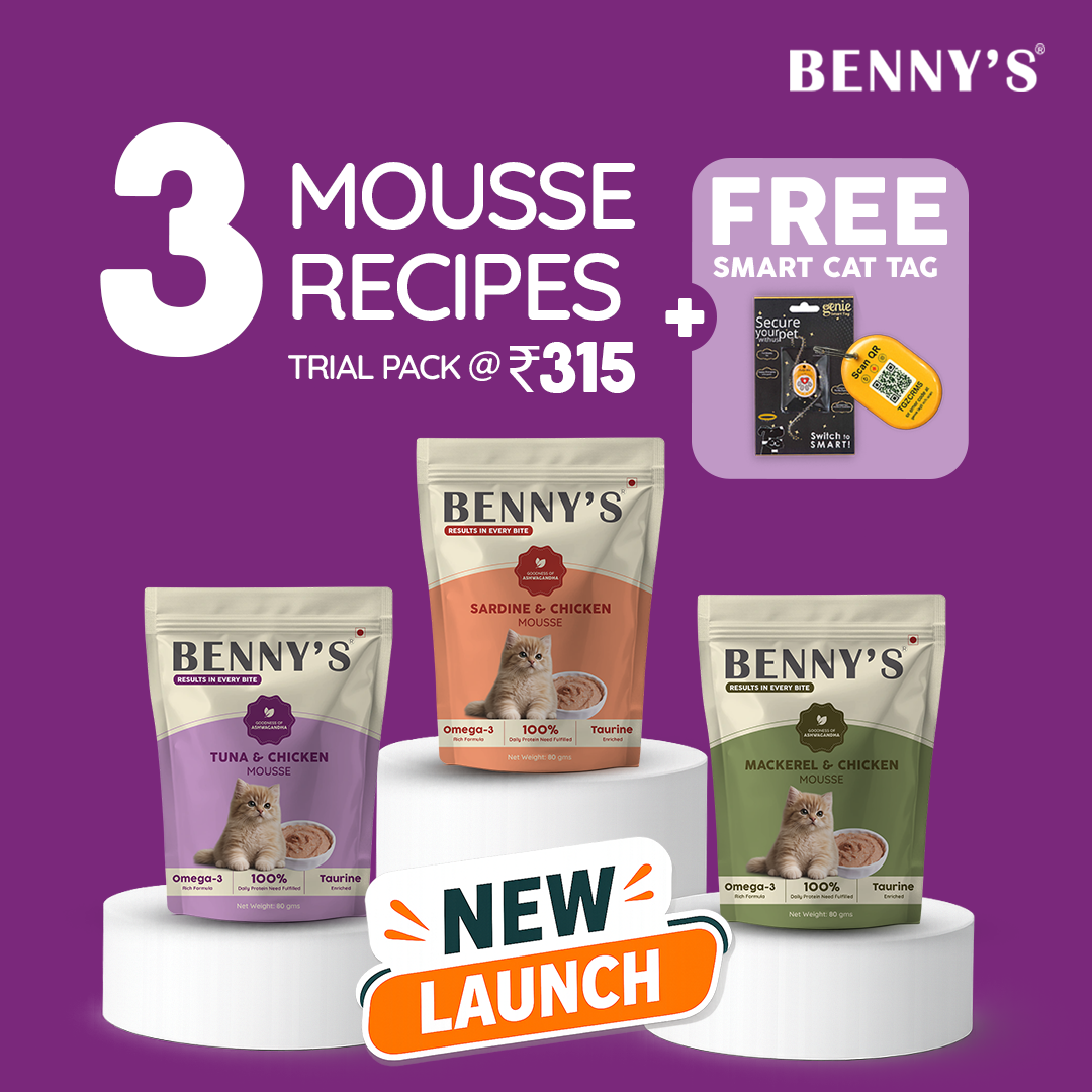 Benny's Bowl Facebook ad