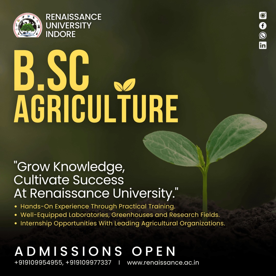 Renaissance University Facebook ad