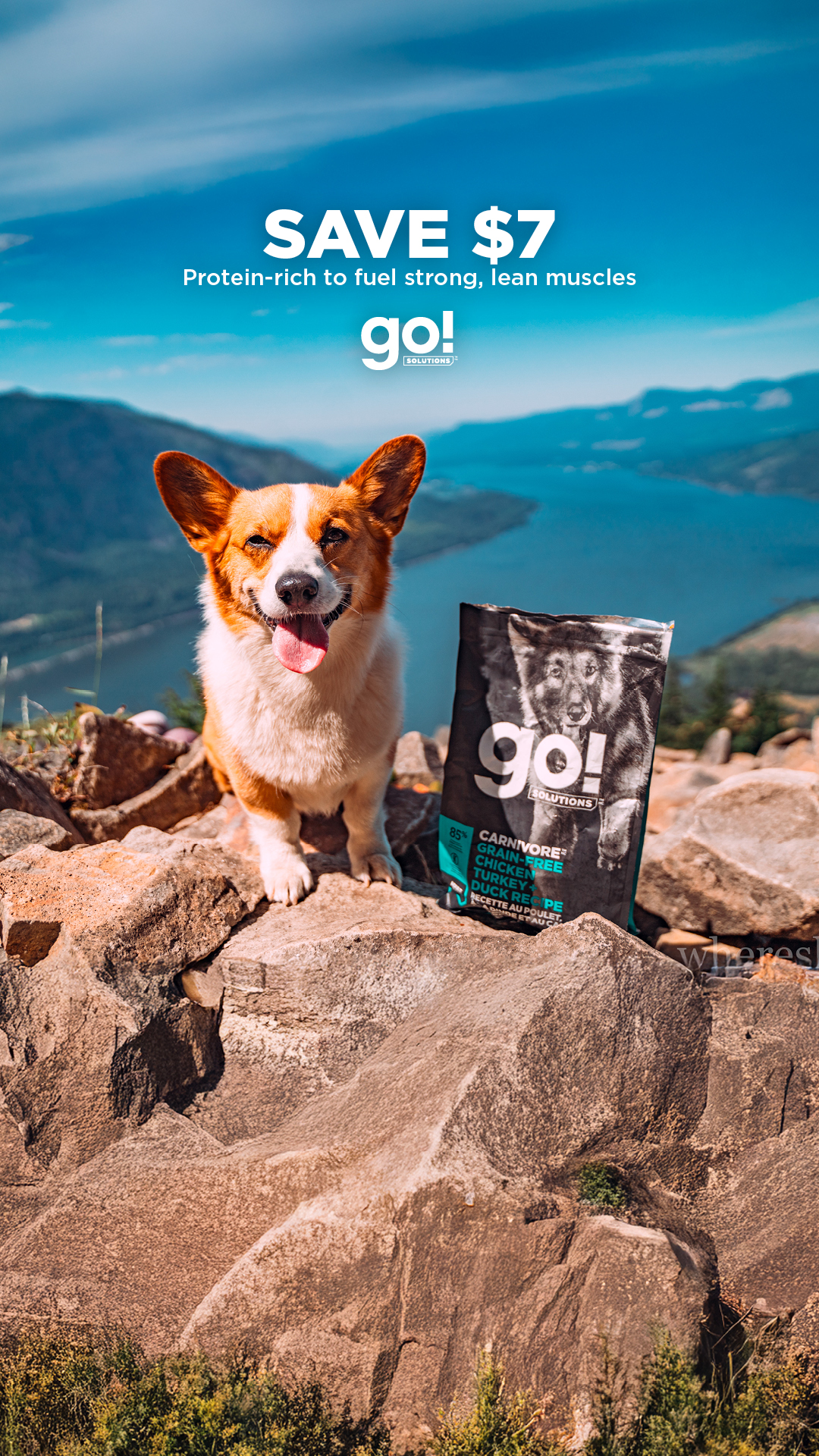 Go Solutions Pet Food Facebook ad from Apr 1, 2026