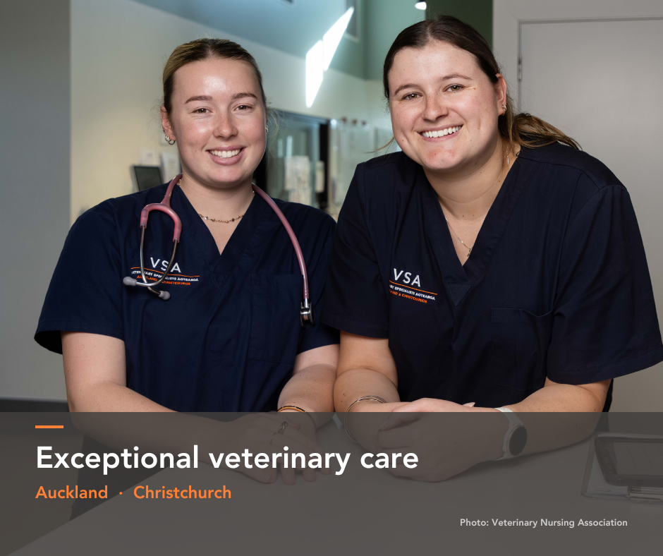 Veterinary Specialists Aotearoa Facebook ad