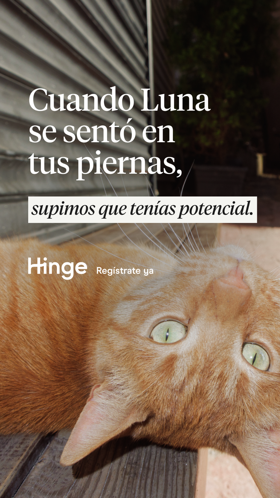 Hinge Facebook ad