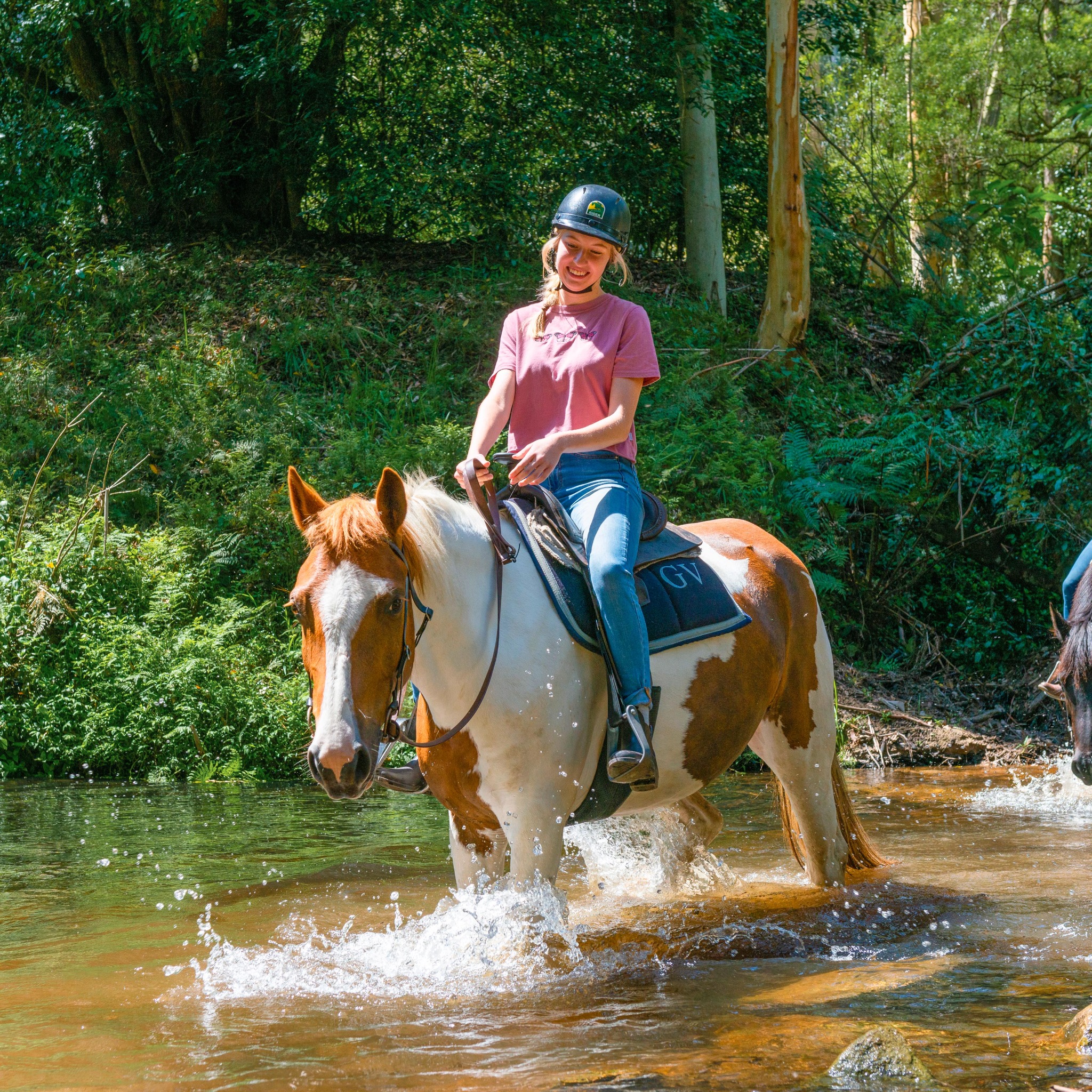 Glenworth Valley Wilderness Adventures Facebook ad: Glenworth Valley Horse Riding