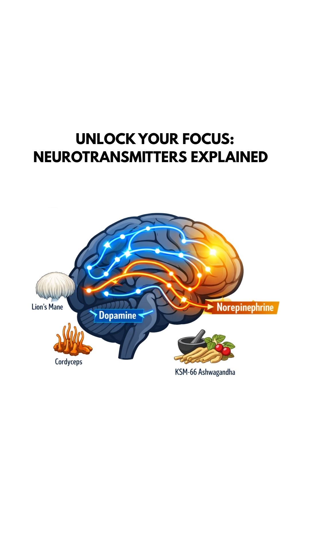The Focus Edit Facebook ad from Mar 6, 2026
