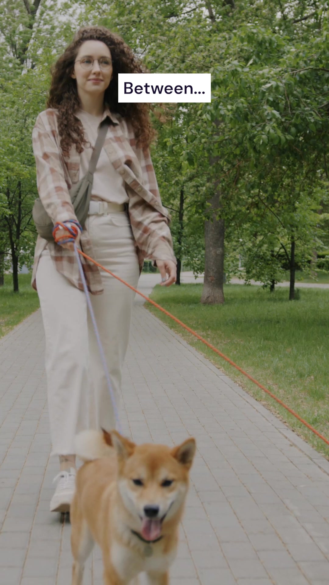 Time To Pet Facebook ad from Mar 4, 2026