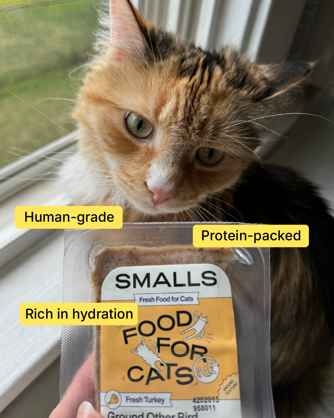 Smalls Facebook ad