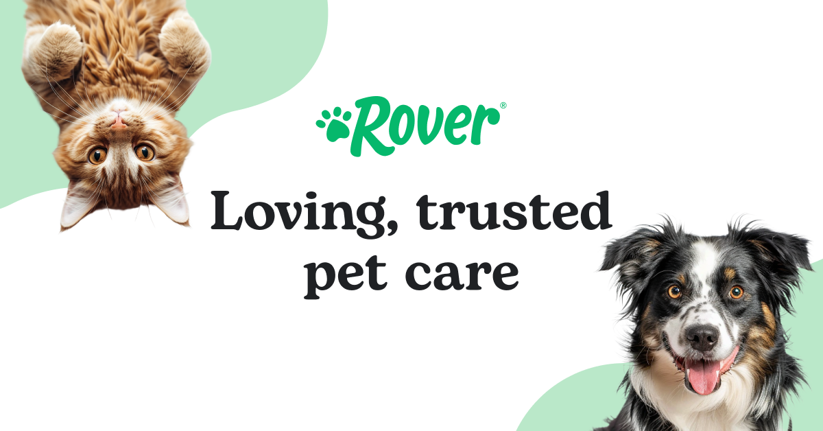 Rover.com Facebook ad