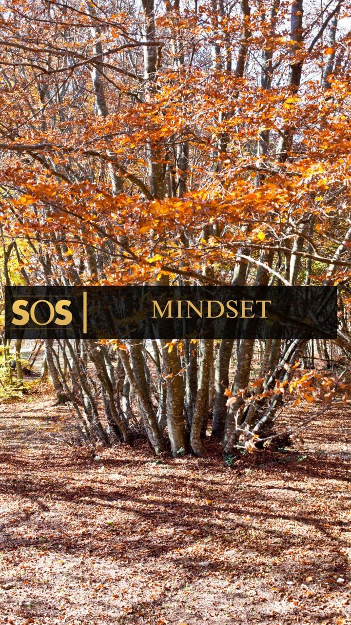 Secrets Of Success Facebook ad: Please subscribe to our YouTube channel by clicking…