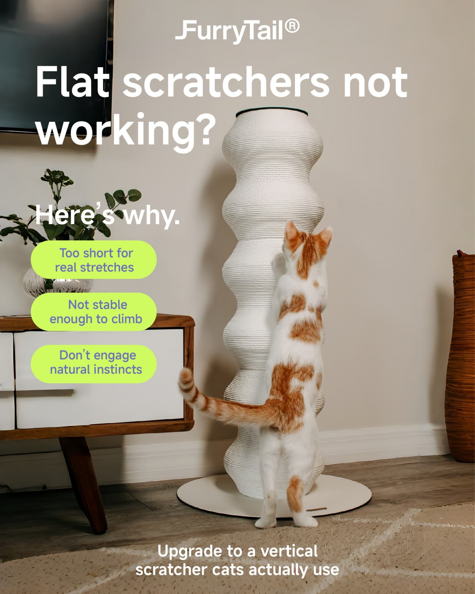 Furrytail_us Facebook ad