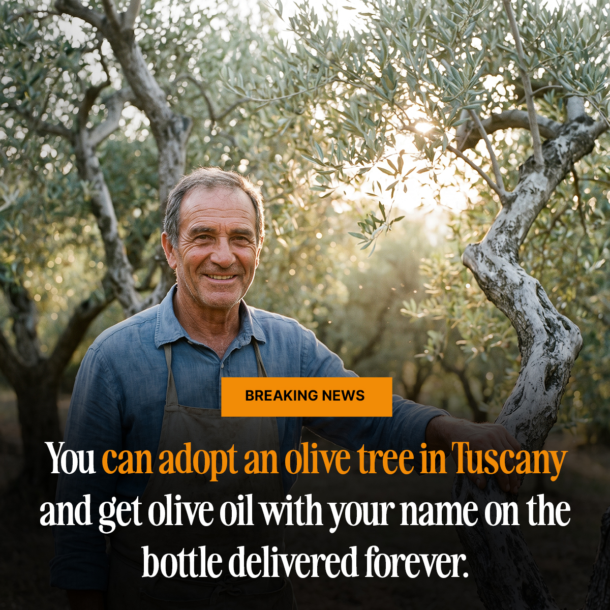 The Pollinator Press Facebook ad: Adopt a Tree. Taste La Dolce Vita.