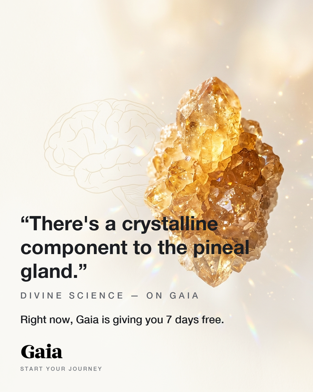 Gaia Facebook ad