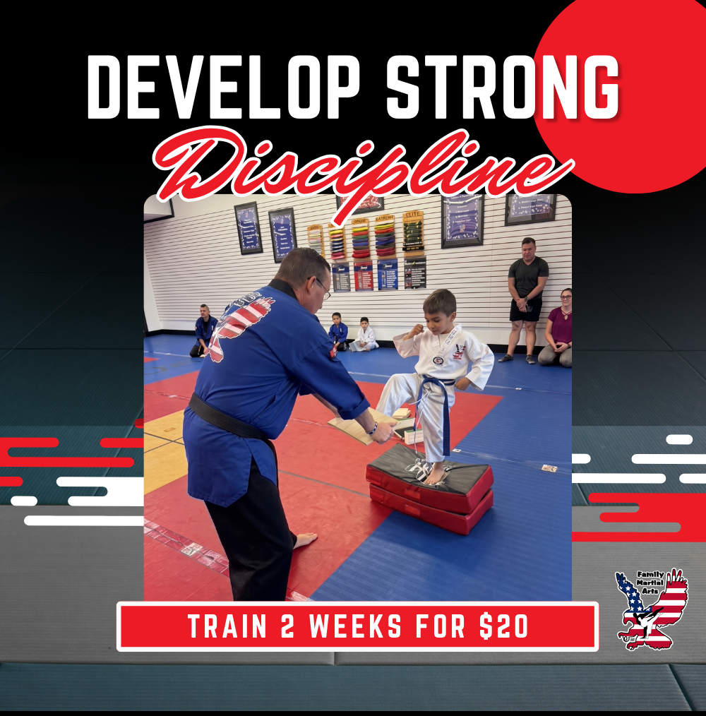Family Martial Arts Facebook ad: Fun, Action-Packed Classes That Build Lifelong Discipline!