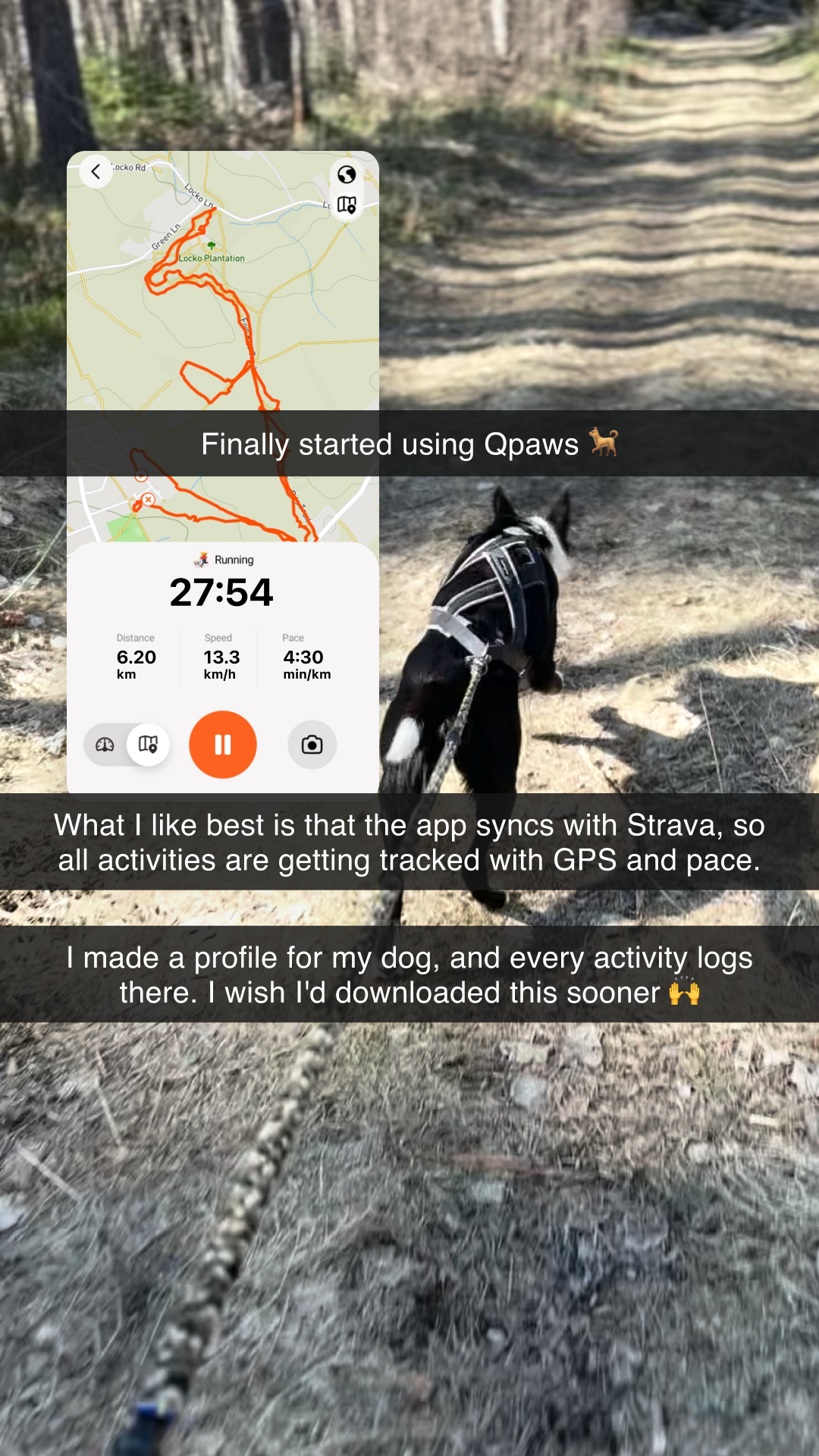 QPAWS Facebook ad