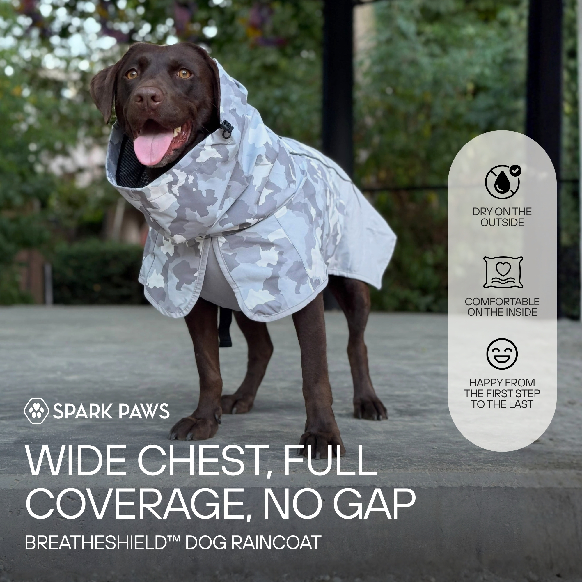 Spark Paws Facebook ad
