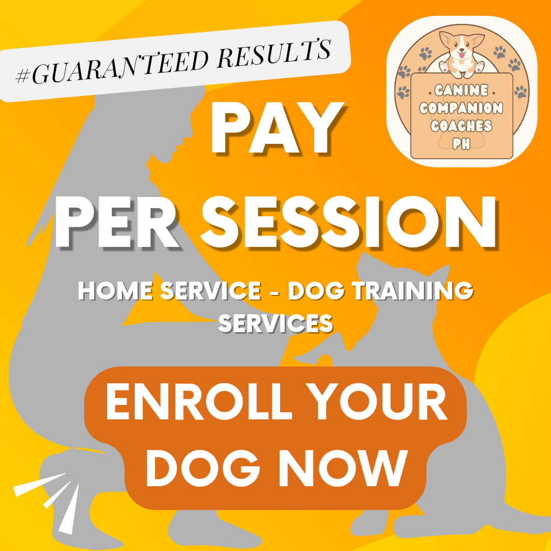 Canine Companion Coaches PH Facebook ad: Looking for top-notch dog training without breaking the…
