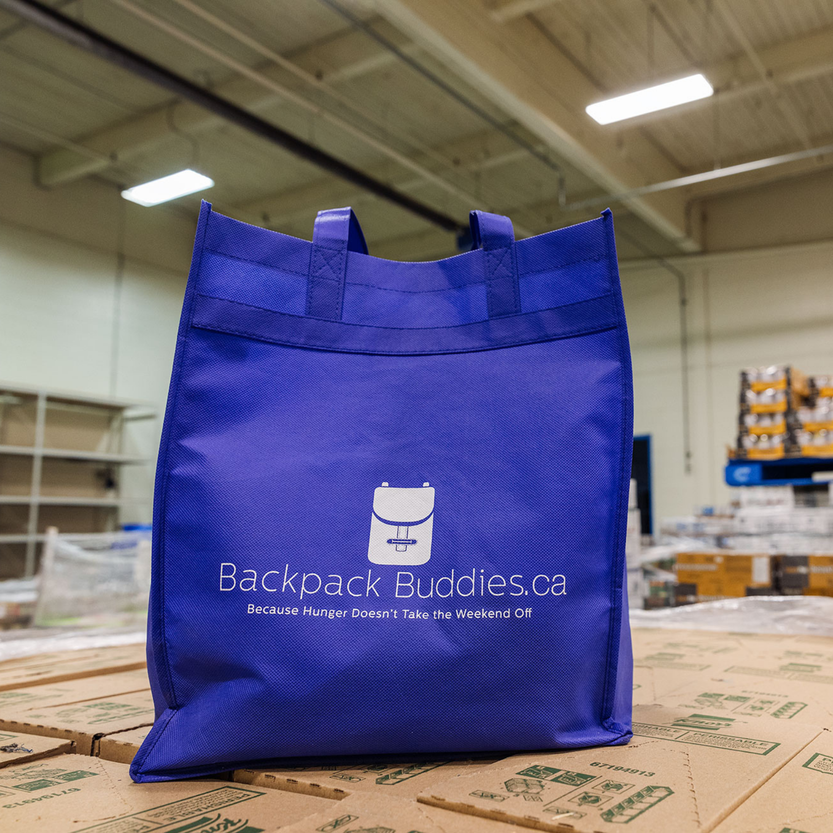 Backpack Buddies Facebook ad