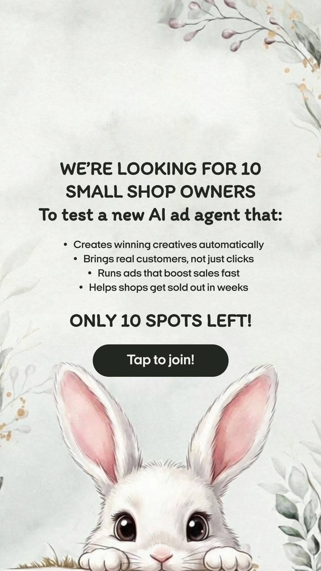 Zeely Facebook ad