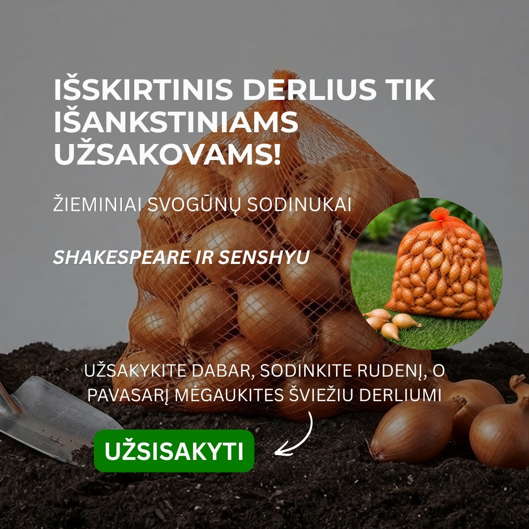 Nojaus sėklos Facebook ad