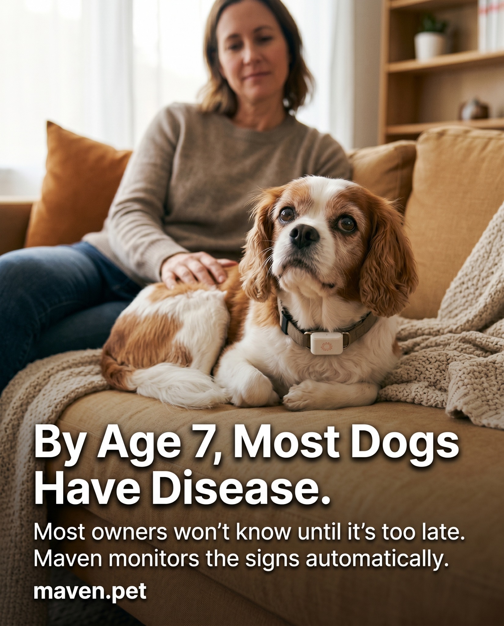 Maven Pet Facebook ad