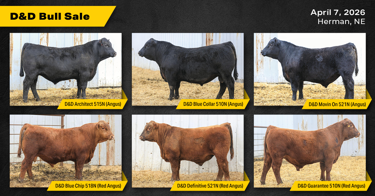 BigIron Auctions Facebook ad