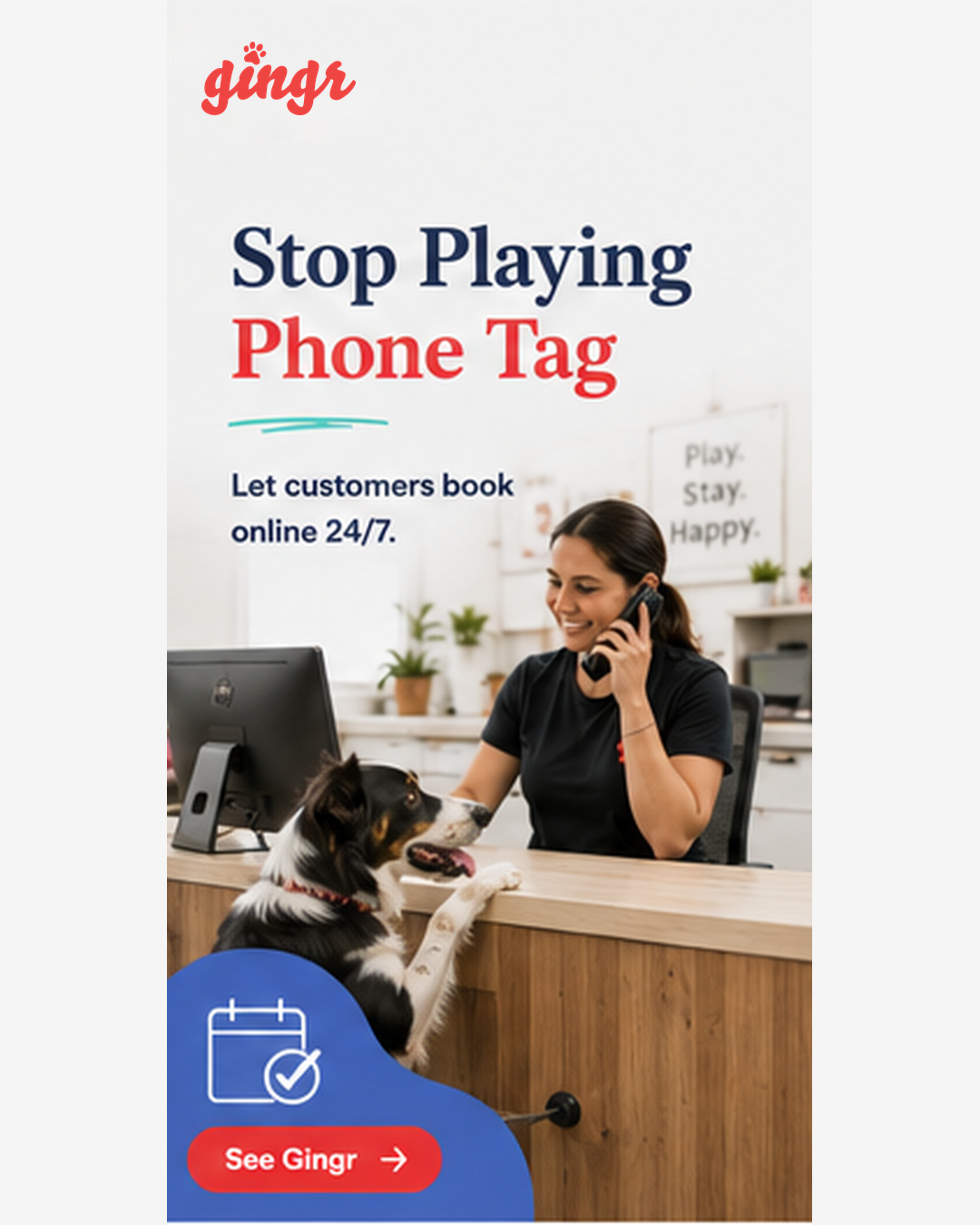 Gingr Facebook ad