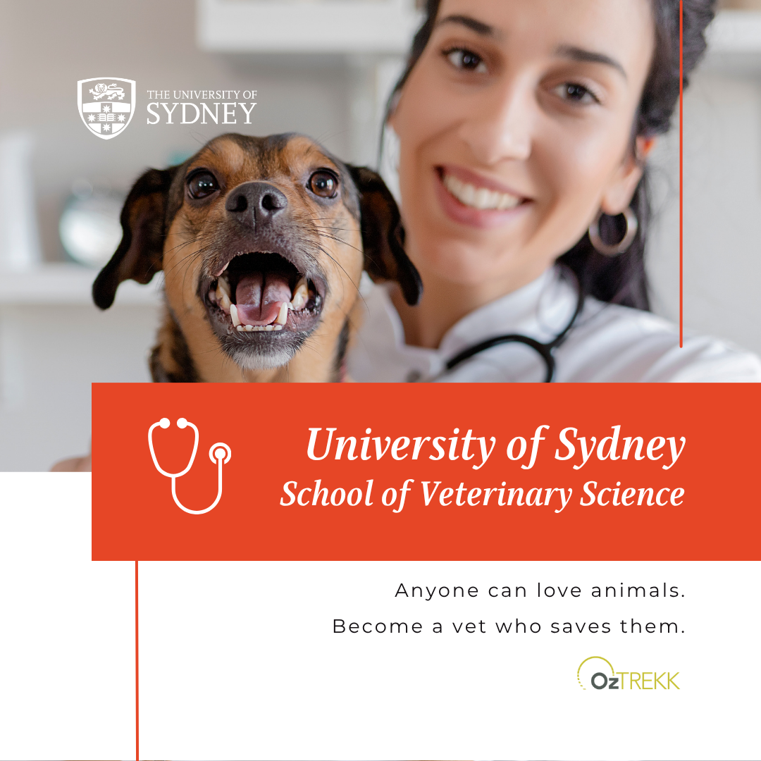 OzTREKK - Study in Australia Facebook ad: Become a Veterinarian at the University of Sydney