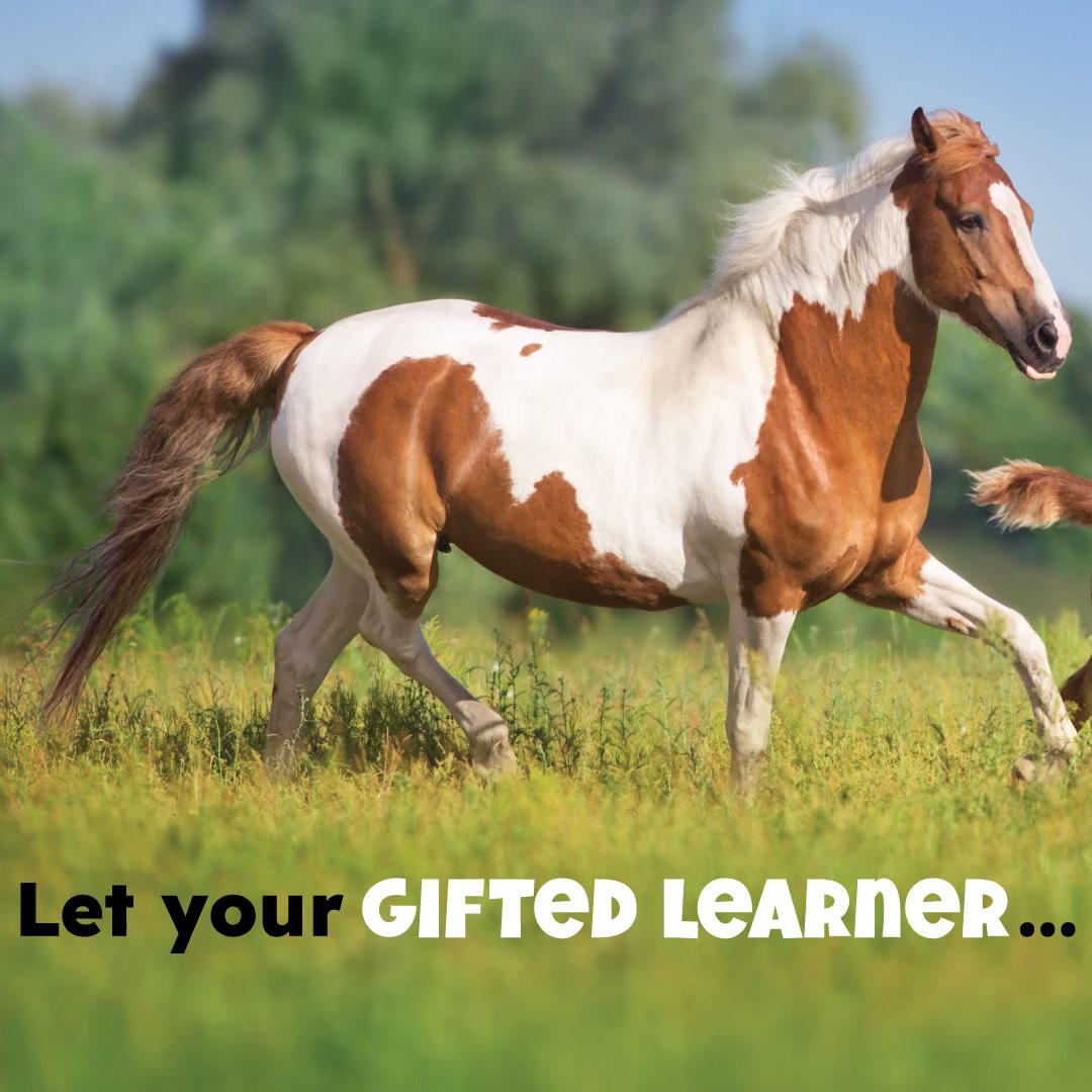 Miacademy Learning Facebook ad: Flexible homeschooling for gifted kids