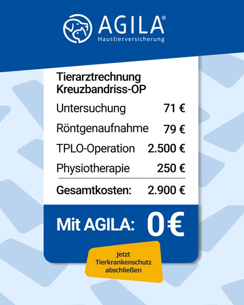 AGILA Haustierversicherung Facebook ad: AGILA Hundeversicherung