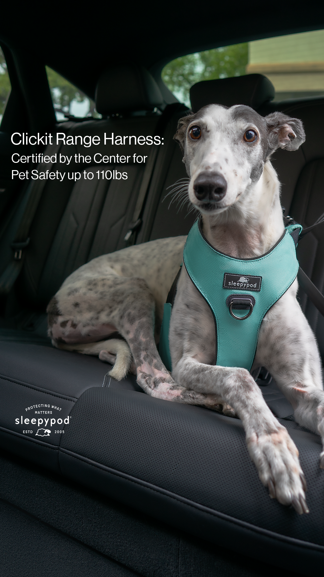 Sleepypod Facebook ad