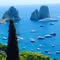 Amici della Penisola Sorrentina, di Capri e della Costiera Amalfitana