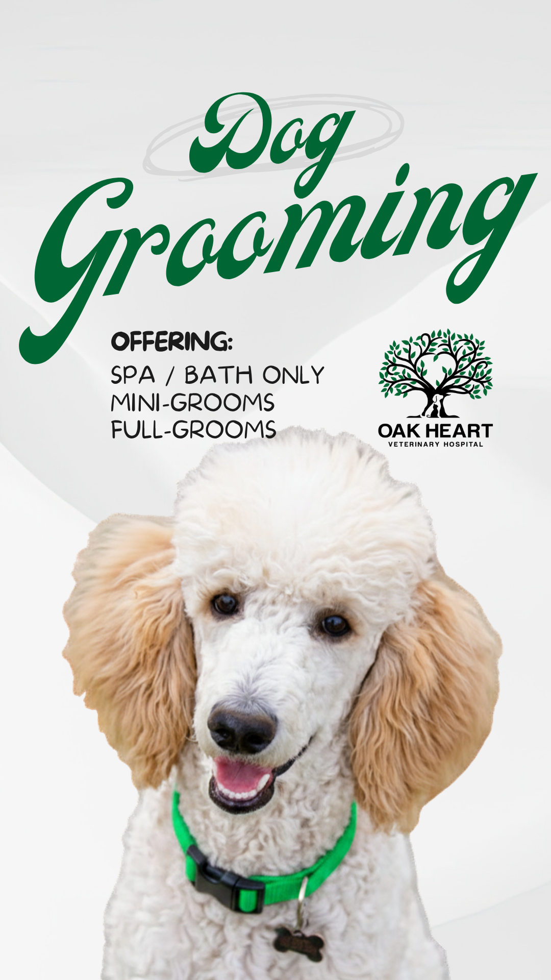 Oak Heart Veterinary Hospital Facebook ad