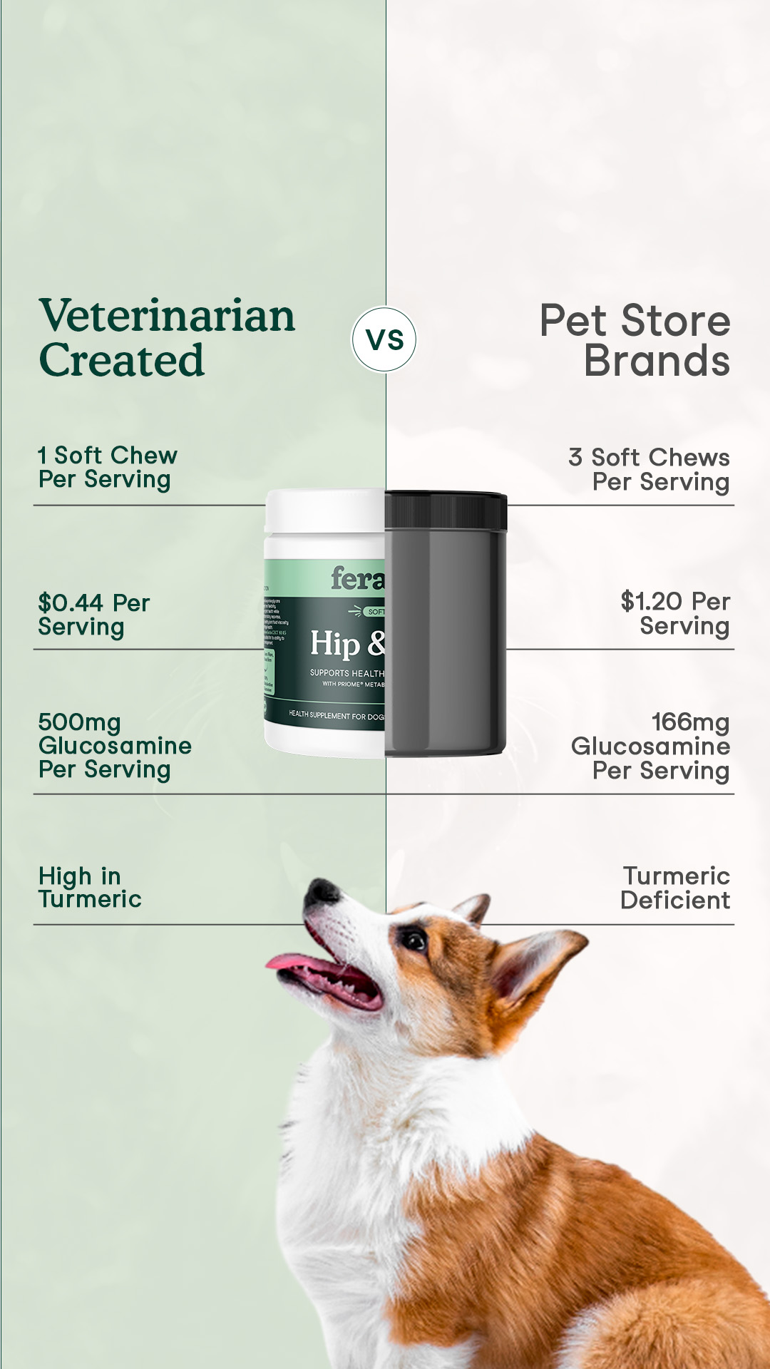 Fera Pets Facebook ad