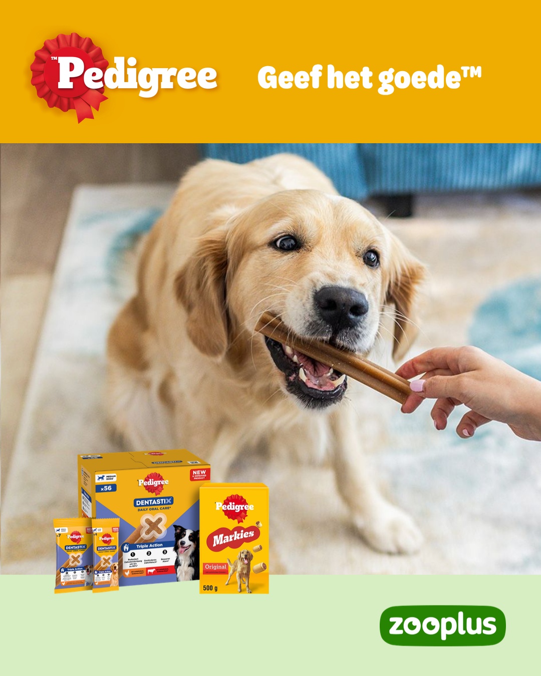 zooplus Facebook ad: PEDIGREE