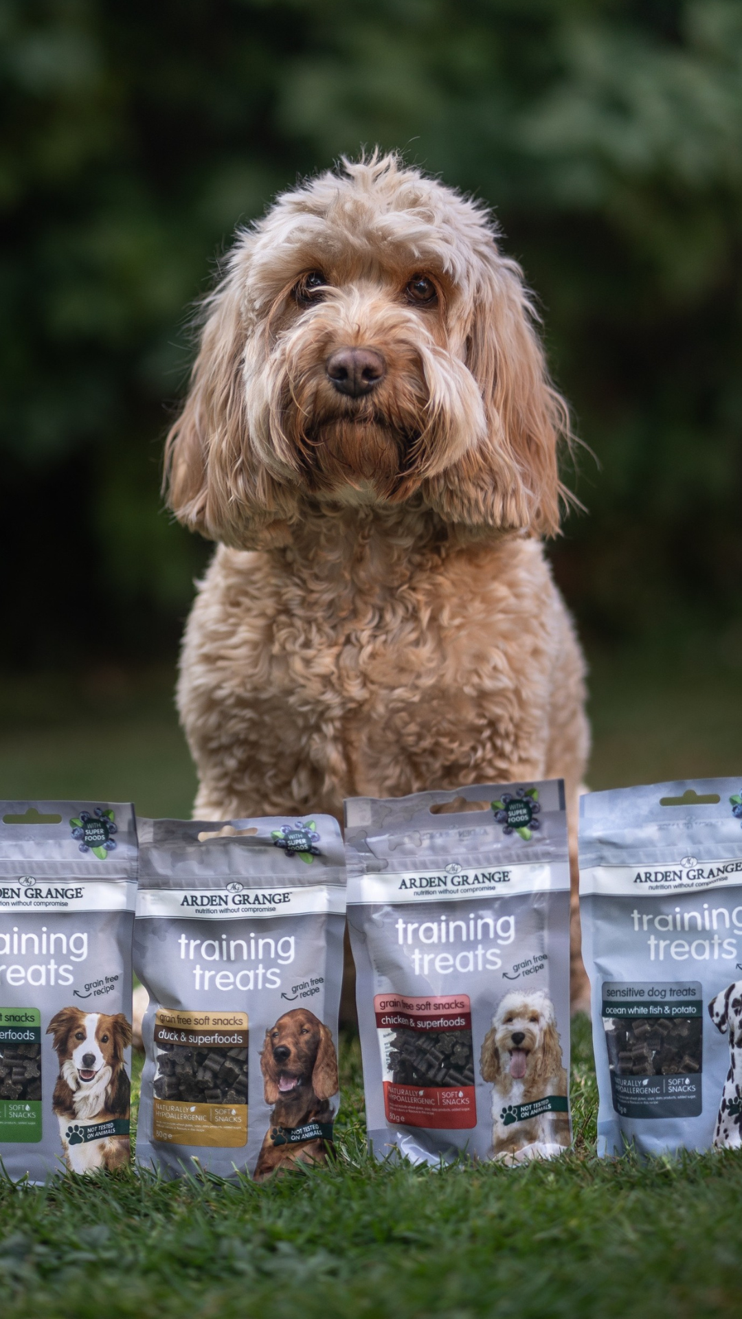 Chiens et Chats Naturellement Facebook ad from Apr 2, 2026