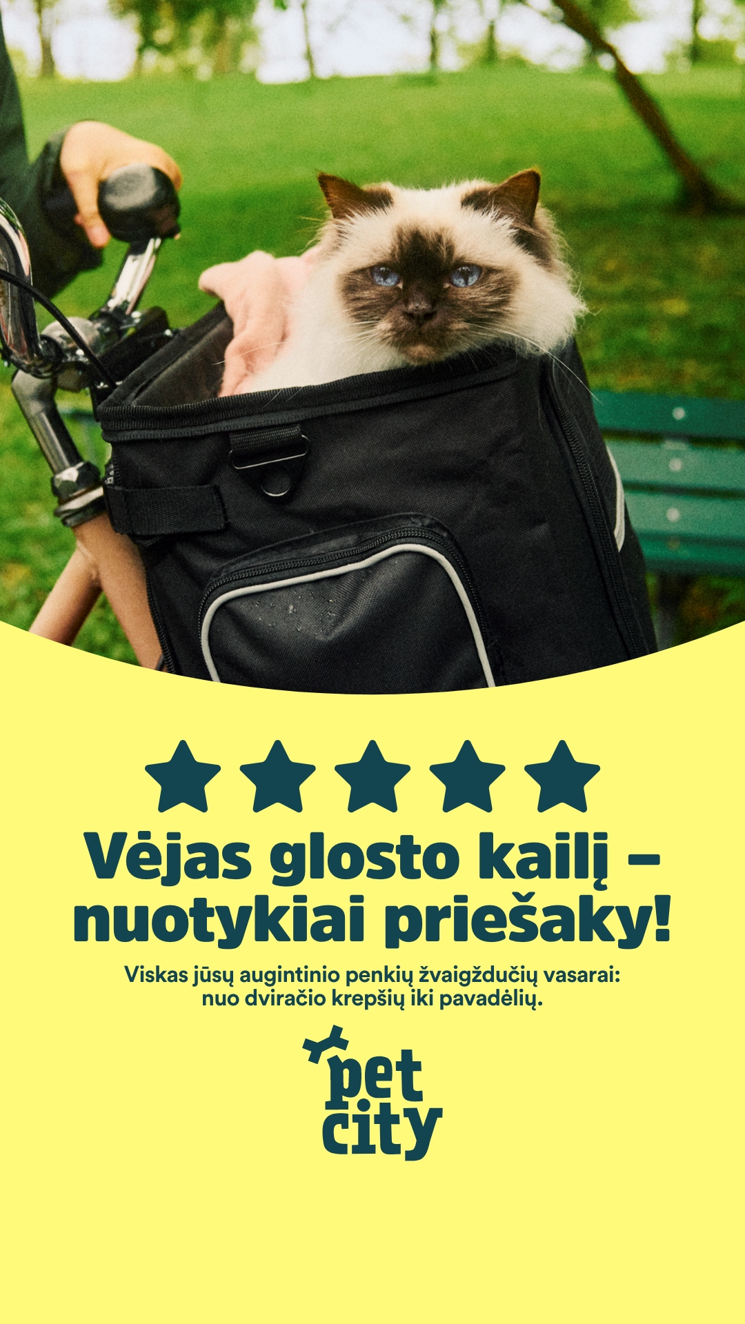 PetCity Lietuva Facebook ad