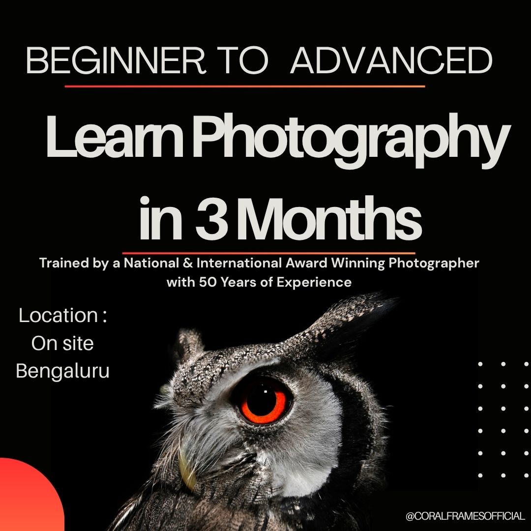 Coralframesofficial Facebook ad: Learn Photography. Build Real Skills.