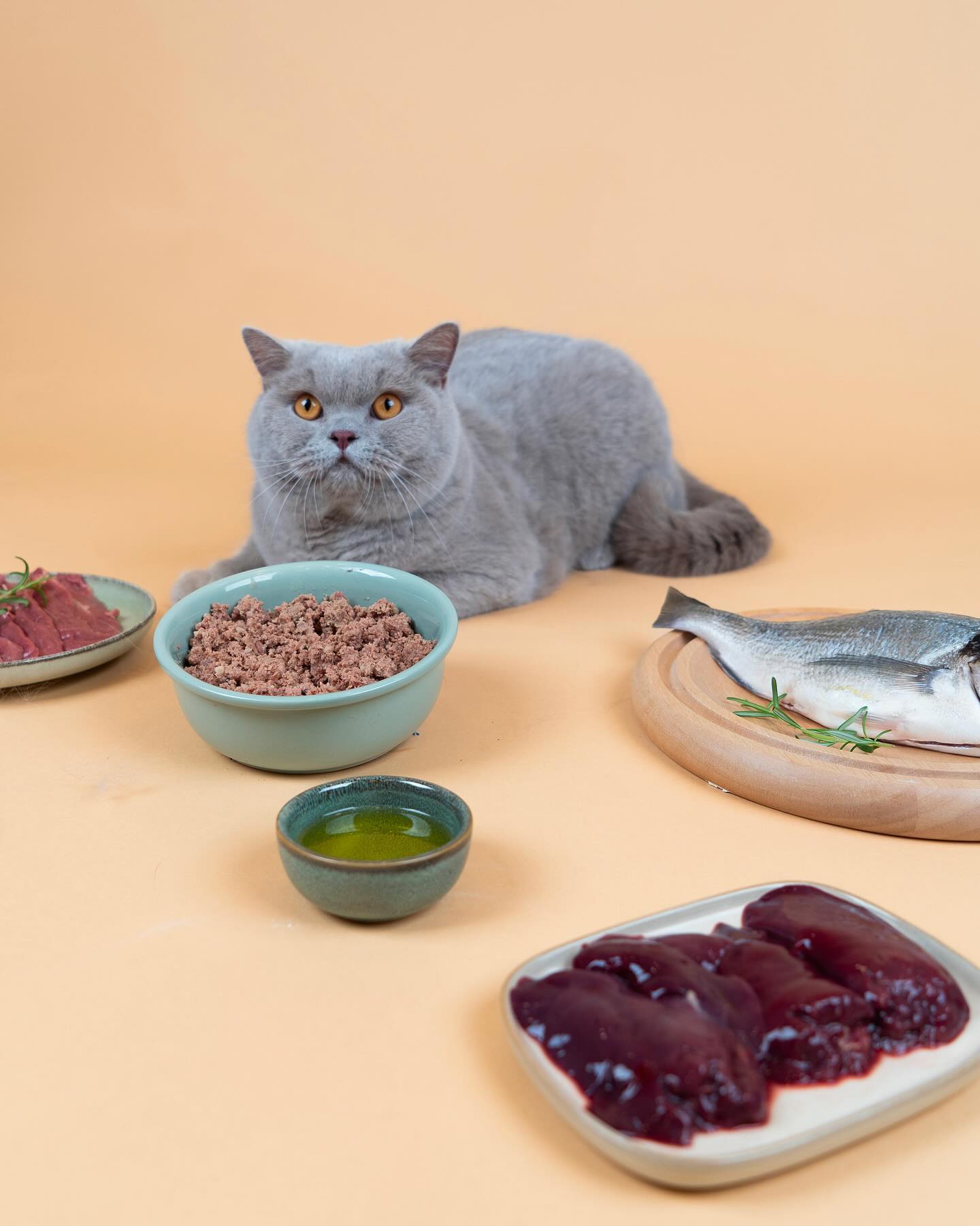 Cat Chef Facebook ad