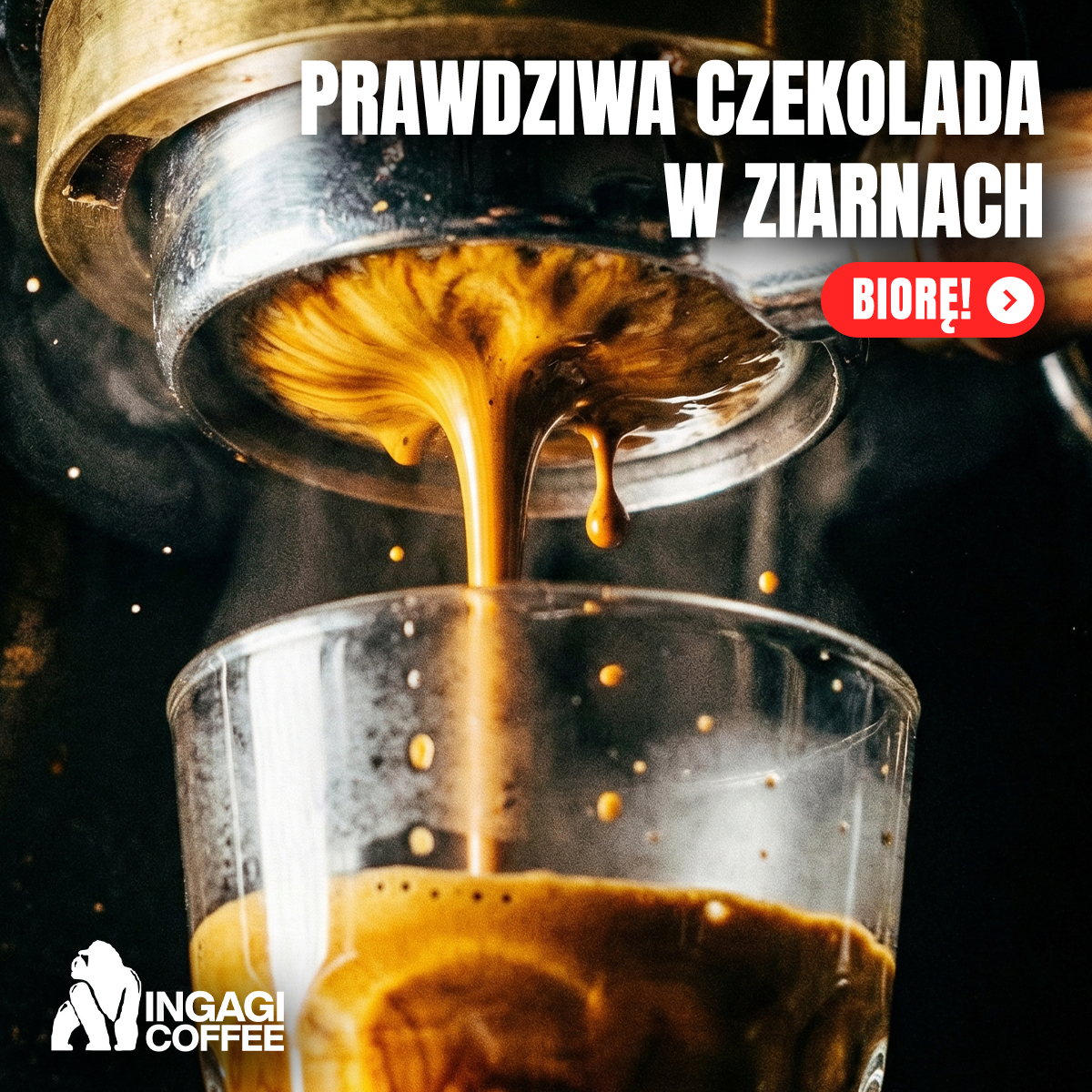 GorillaCoffee.pl Facebook ad