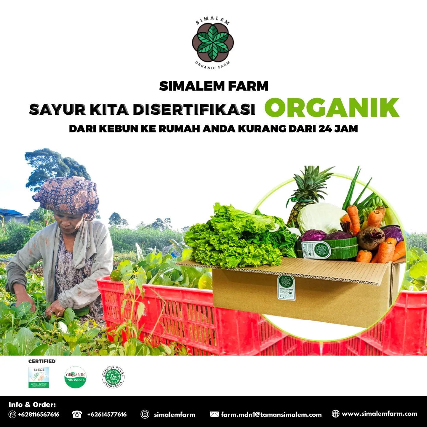 Simalem Farm Facebook ad: Sayur organik kini hadir di Medan.