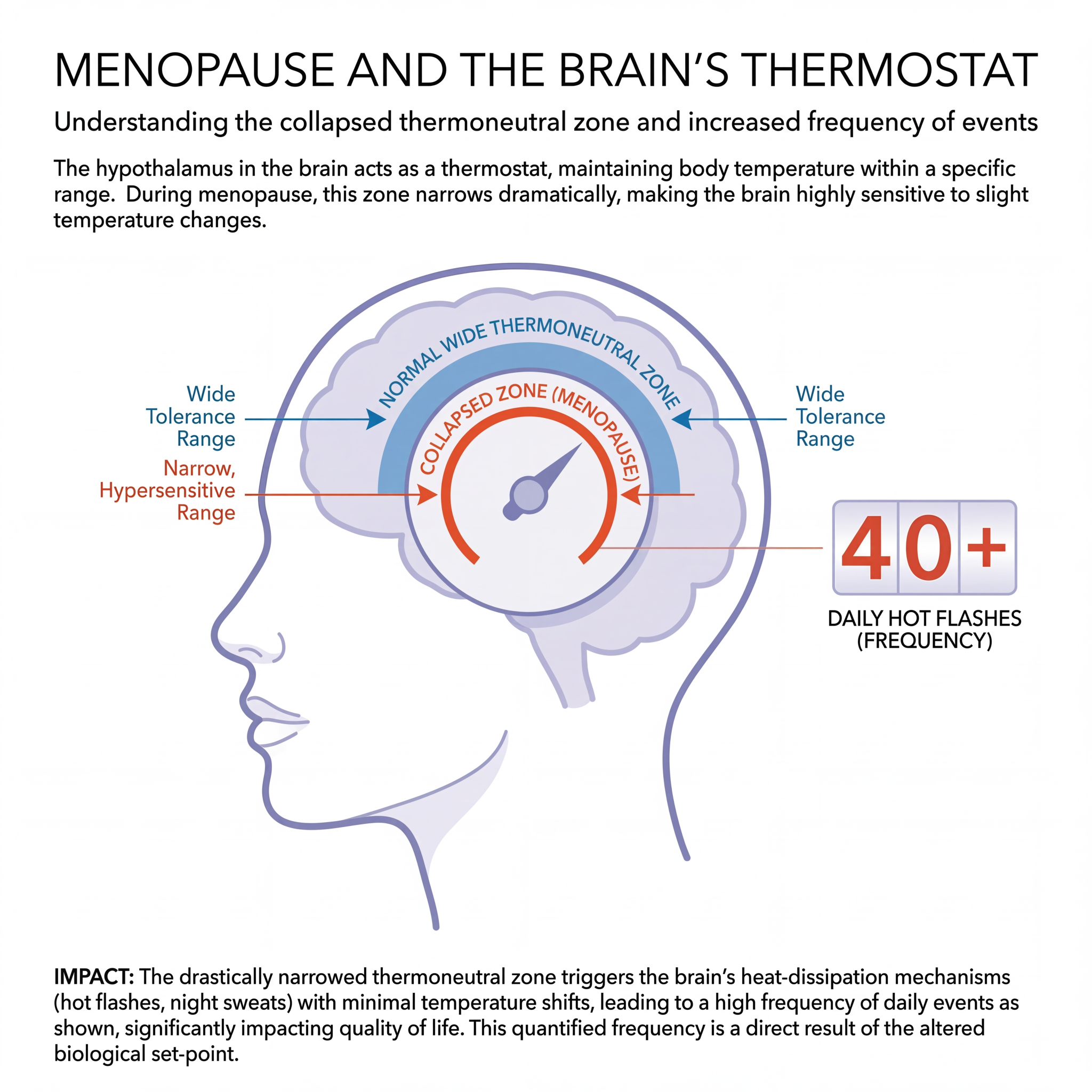 Vono Labs Facebook ad: Your Hot Flashes Aren't A Hormone Problem. They're A…