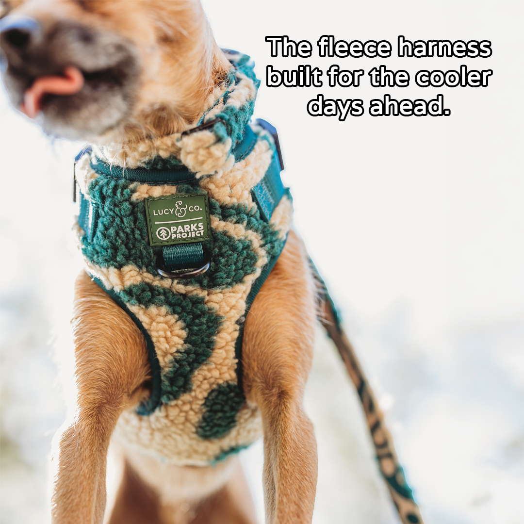 Lucy & Co. Facebook ad: The Fall Harness Built for Cool Walks Ahead