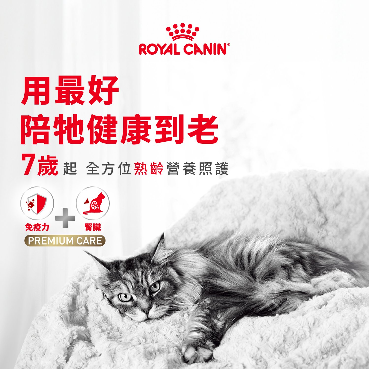 Royal Canin TW Facebook ad: 你家的貓咪幾歲了呢？