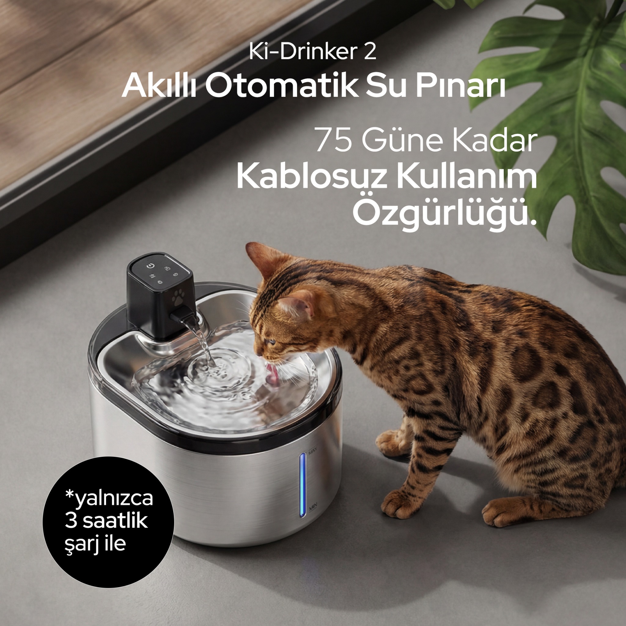 K-paw Facebook ad