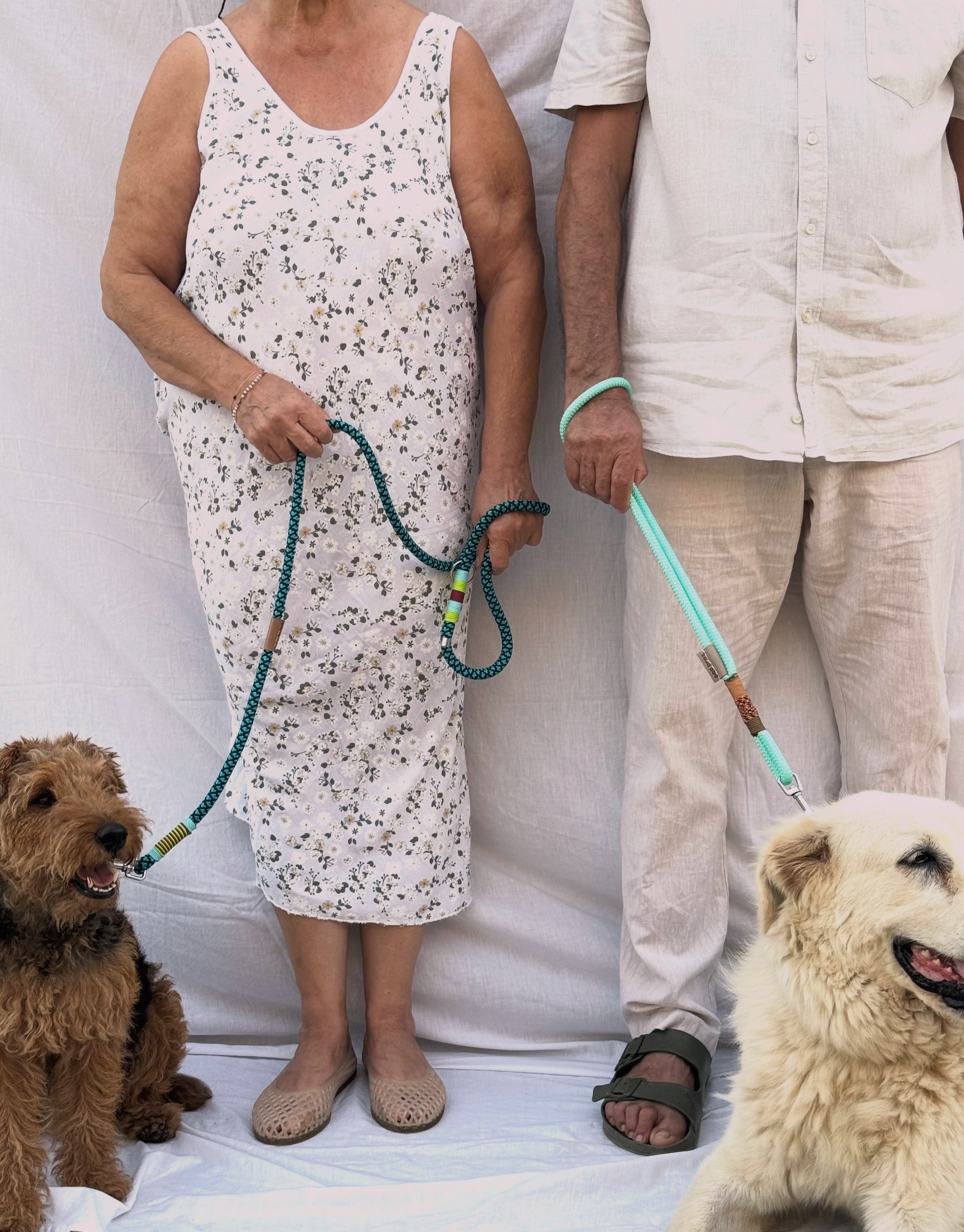 Hold Dog leashes Facebook ad: Κοντά!