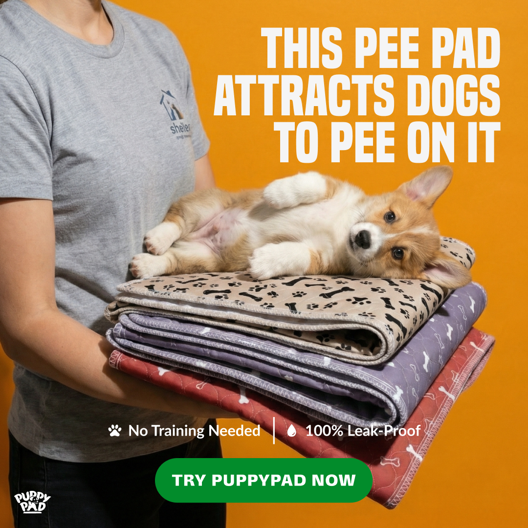 PuppyPad Facebook ad