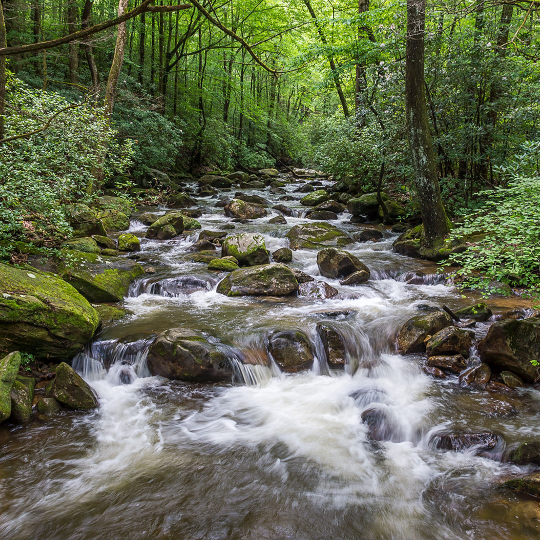 VisitGreenville SC Facebook ad: In it’s in our nature to blend the…