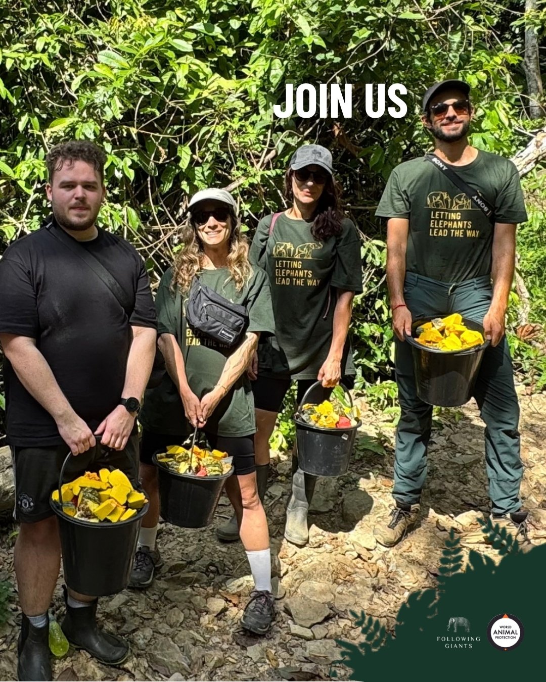 Following Giants Facebook ad: Join us for a week on the stunning…